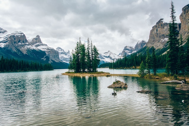 L'Ouest canadien au plus près de la nature