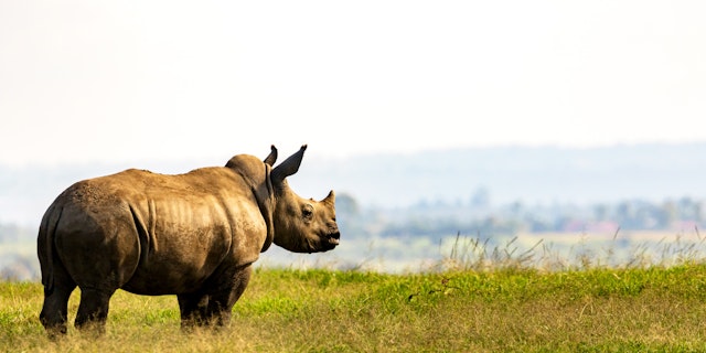 Solio Game Reserve-0