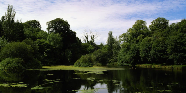 County Cavan-2