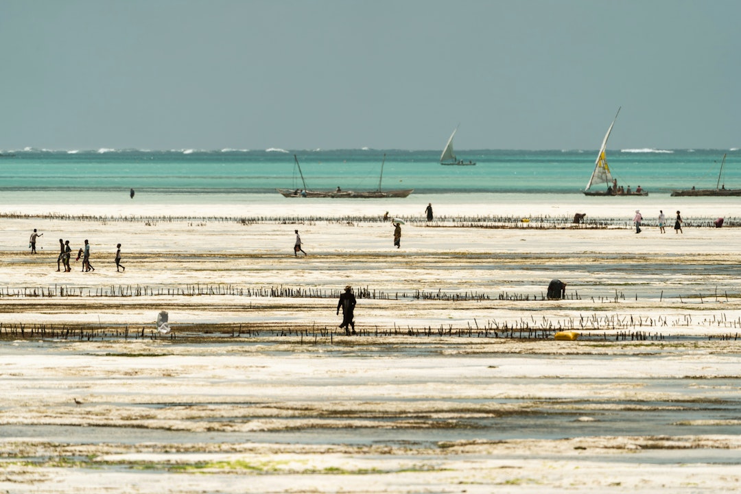 Safari und Badurlaub in Sansibar
