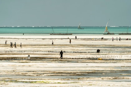 La Tanzanie, entre plage et safari - Image 2