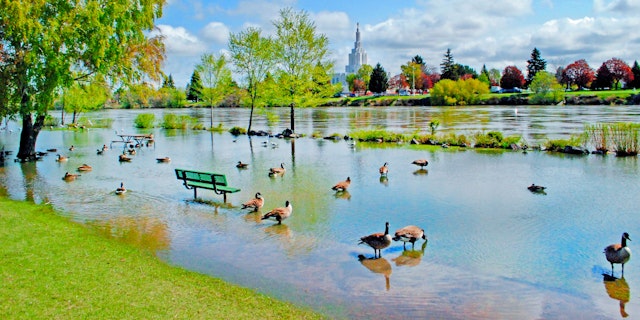 Idaho Falls-3