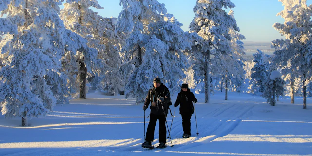 Sodankylä-4