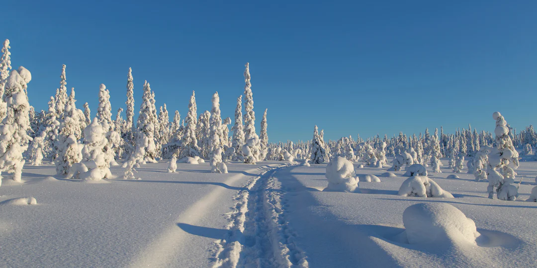 Mit dem Zug nach Lappland: 7 Tage von Helsinki bis Sodankylä