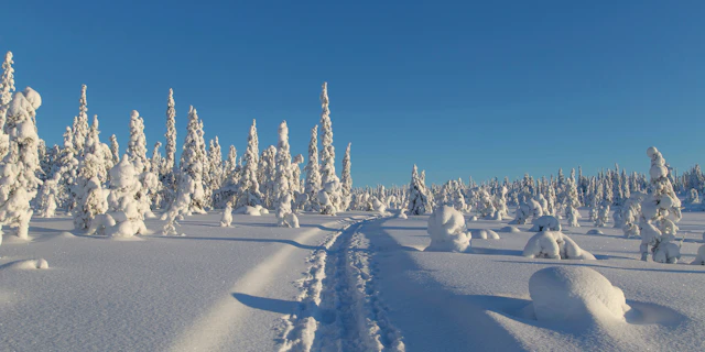 Sodankylä-6