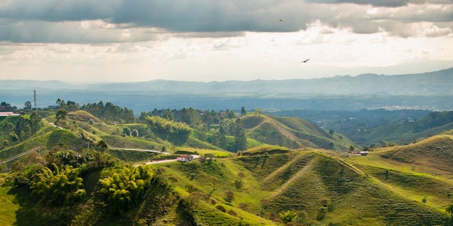 Pereira-3