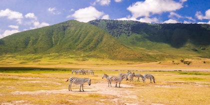 Tansania Familienreise mit Safari - 1 Woche - Image 3