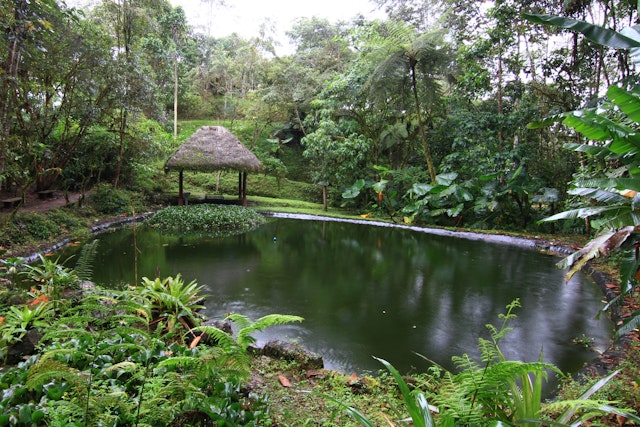 Sachatamia Lodge