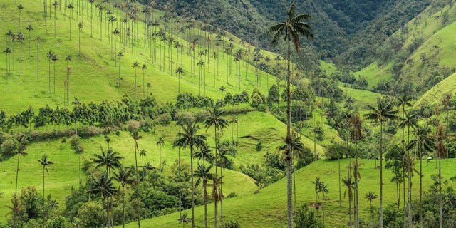 Acaime Natural Reserve-5