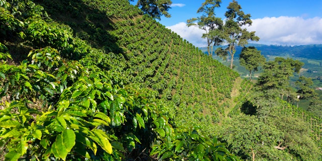 Acaime Natural Reserve-0