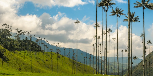 Acaime Natural Reserve-4