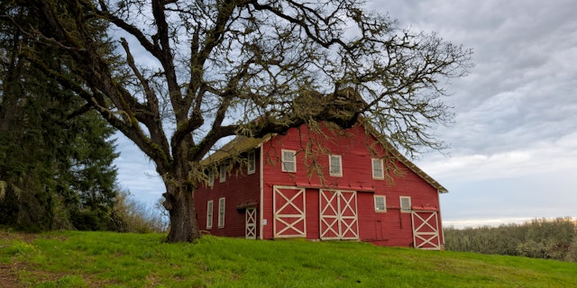 Willamette Valley-5